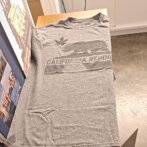 Fifth Sun Heather Gray California Republic Tee